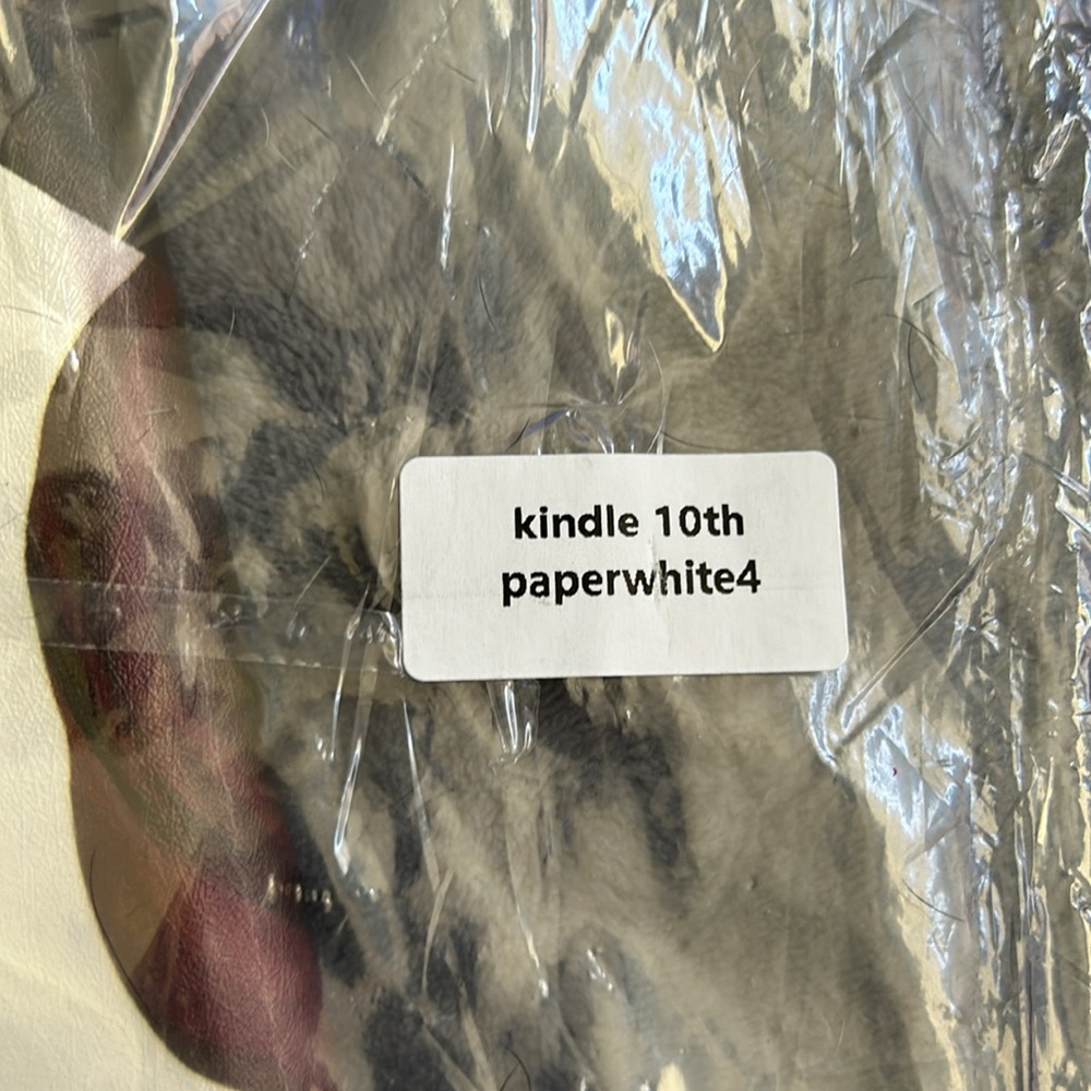 Kindle Cover/Case (10th Edition) - Picture 3 of 4